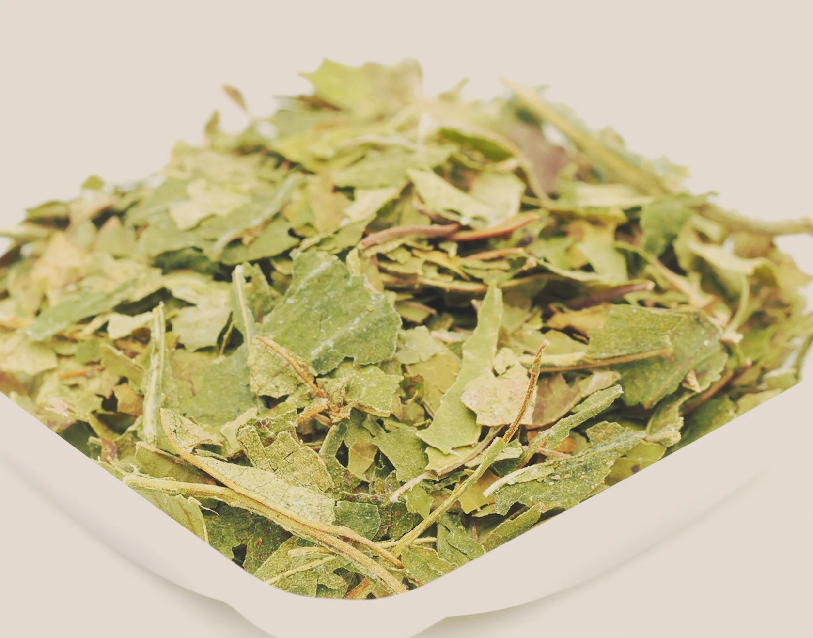 Shop 100 Premium, Wild Crafted, Small Batch Kratom — Sakti Botanicals